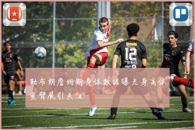 勒布朗詹姆斯身体数据曝光身高体重臂展引关注