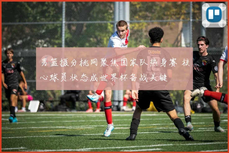 男篮摄分桃网聚焦国家队热身赛 核心球员状态成世界杯备战关键