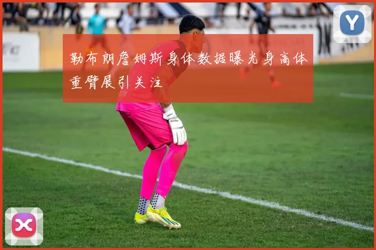 勒布朗詹姆斯身体数据曝光身高体重臂展引关注