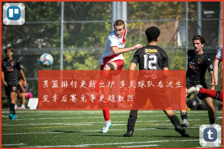 男篮排行更新出炉 多支球队名次生变季后赛竞争更趋激烈