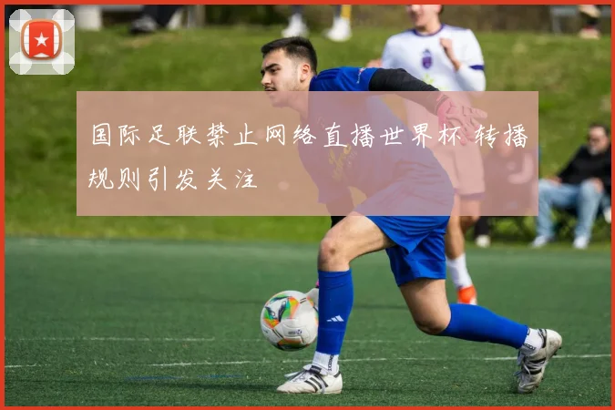 国际足联禁止网络直播世界杯 转播规则引发关注