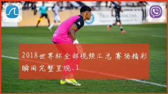 2018世界杯全部视频汇总 赛场精彩瞬间完整呈现_1
